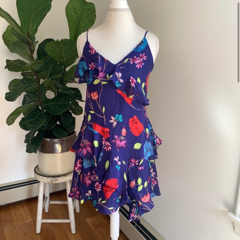 Parker Holly Ruffle Valencia Eclipse Mini Dress Size 4 Fit & Flare